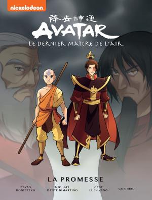 couverture, jaquette Avatar - The Last Airbender 3  - The RiftTPB Softcover (souple) - Omnibus (Dark Horse Comics)