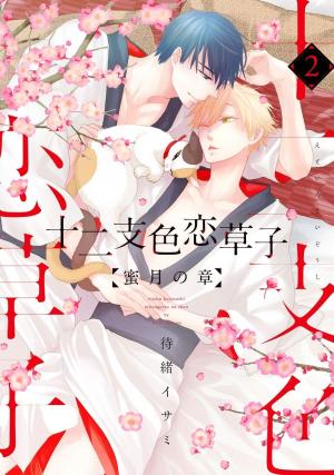 couverture, jaquette Etoiro Koizoushi - Mitsugetsu no Shou - 2  (Shinshokan) Manga