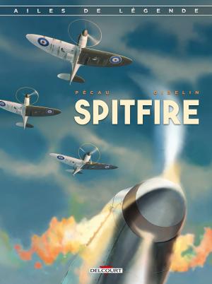 Ailes de légende 1 - Spitfire