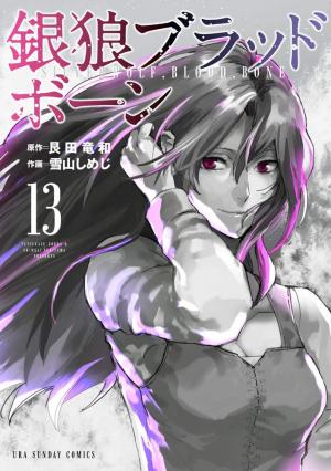 couverture, jaquette Silver Wolf Blood Bone 13  (Shogakukan) Manga