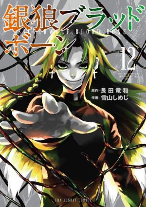 couverture, jaquette Silver Wolf Blood Bone 12  (Shogakukan) Manga