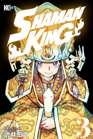 couverture, jaquette Shaman King 3  (Kodansha) Manga