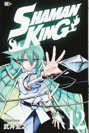 couverture, jaquette Shaman King 12  (Kodansha) Manga