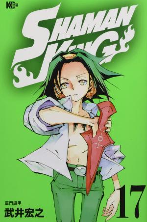 couverture, jaquette Shaman King 17  (Kodansha) Manga