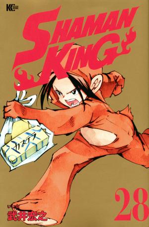 couverture, jaquette Shaman King 28  (Kodansha) Manga