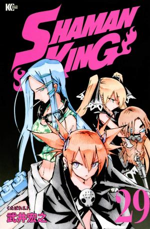 couverture, jaquette Shaman King 29  (Kodansha) Manga