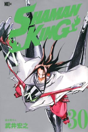 couverture, jaquette Shaman King 30  (Kodansha) Manga
