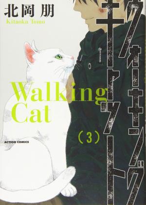 Walking Cat 3
