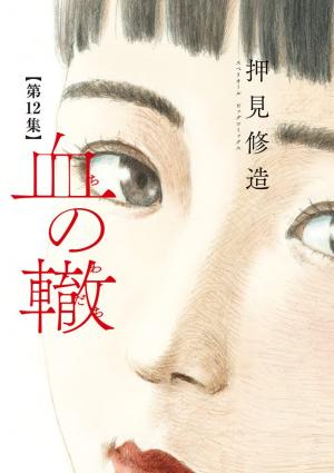 couverture, jaquette Les Liens du Sang 12  (Shogakukan) Manga