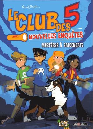Le club des 5 - Nouvelles enquêtes