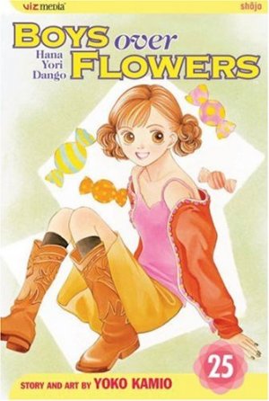 couverture, jaquette Hana Yori Dango 25 Américaine (Viz media) Manga