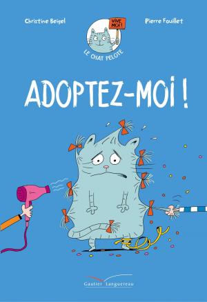 Le chat Pelote 1 - Adoptez-moi