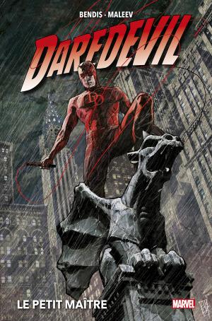 Daredevil 2 TPB HC - Marvel Deluxe V2 - Issues V2 (Bendis)