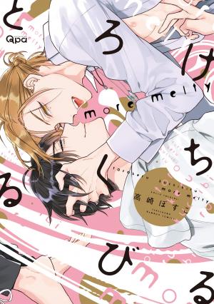 couverture, jaquette Melty kiss more   (Takeshobo) Manga