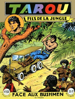 Tarou, fils de la jungle 13 - Face aux bushimen