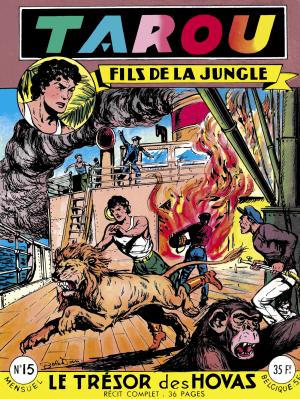 Tarou, fils de la jungle 15 - Le trésor des Hovas