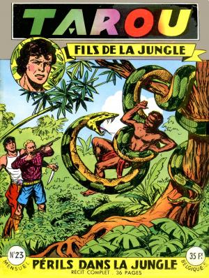 Tarou, fils de la jungle 23 - Périls dans la jungle