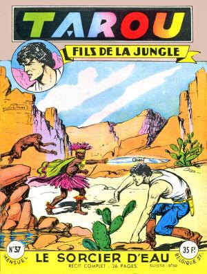 Tarou, fils de la jungle 37 - Le sorcier d'eau