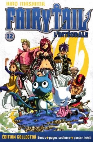 couverture, jaquette Fairy Tail Grand format - Kiosque 12