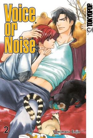 Voice or Noise 2