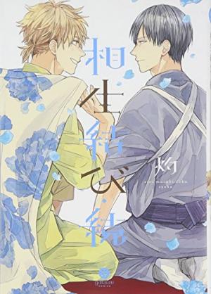 couverture, jaquette Aioi Musubi 2  (Ichijinsha) Manga