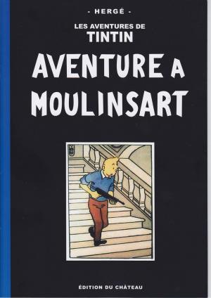 Tintin - Parodies, pastiches et pirates 0 - Aventure à Moulinsart