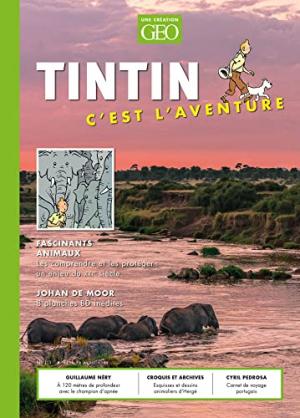 Tintin c'est l'aventure 11 simple