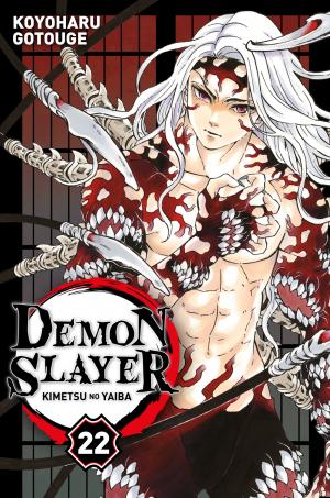 couverture, jaquette Demon slayer 22 simple 2019 (Panini manga) Manga