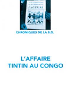L'affaire Tintin au Congo édition simple