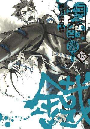 couverture, jaquette Peace Maker Kurogane 13  (Mag garden) Manga