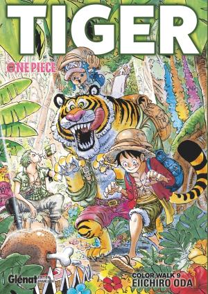 One Piece - Color Walk 9 Artbook