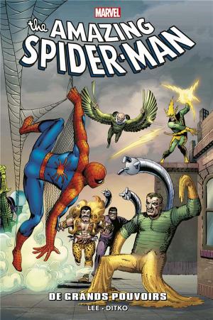 Amazing Spider-Man : À grands pouvoirs  TPB Softcover (souple)