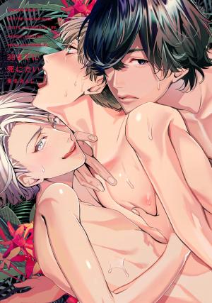 couverture, jaquette 30 Made ni Shinitai   (Julian) Manga