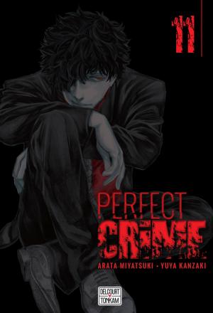 Perfect crime 11 Simple