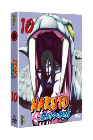 Naruto Shippûden 10