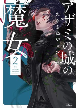 couverture, jaquette La Sorcière du château aux chardons 2  (Tokuma Shoten) Manga