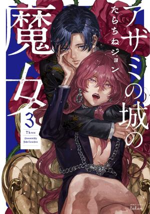couverture, jaquette La Sorcière du château aux chardons 3  (Tokuma Shoten) Manga