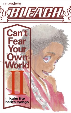 couverture, jaquette Bleach: Can't Fear Your Own World 2  (Shueisha) Roman