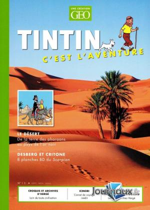 Tintin c'est l'aventure 13 simple