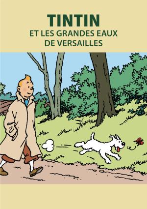 Tintin et les grandes eaux de Versailles édition simple