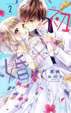 couverture, jaquette Hatsu x Kon 2  (Shueisha) Manga