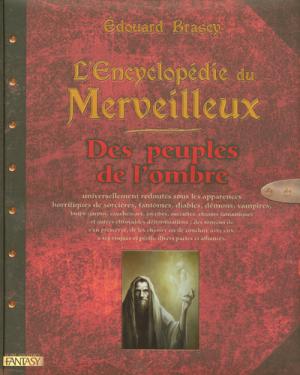 L'encyclopédie du merveilleux édition simple