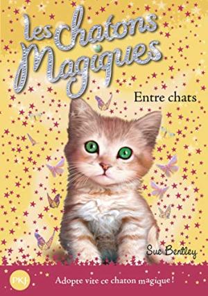 Les chatons magiques édition simple