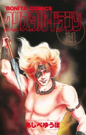 couverture, jaquette Crystal dragon 11  (Akita shoten) Manga