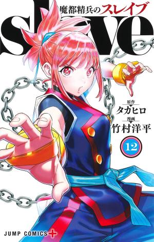 couverture, jaquette Demon Slave 12  (Shueisha) Manga