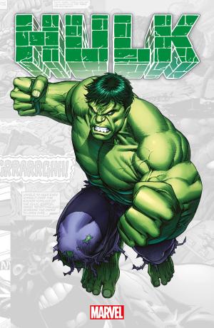 Marvel-verse - Hulk 1