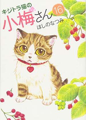 couverture, jaquette Plum, un amour de chat 16  (Shônen Gahôsha) Manga