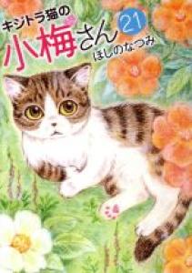 couverture, jaquette Plum, un amour de chat 21  (Shônen Gahôsha) Manga