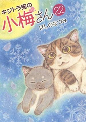 couverture, jaquette Plum, un amour de chat 22  (Shônen Gahôsha) Manga