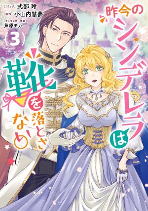 Sakkon no Cinderella wa Kutsu wo Otosanai. 3 Manga